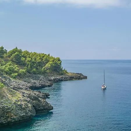 Lovely In Praia Mare With House Sea View